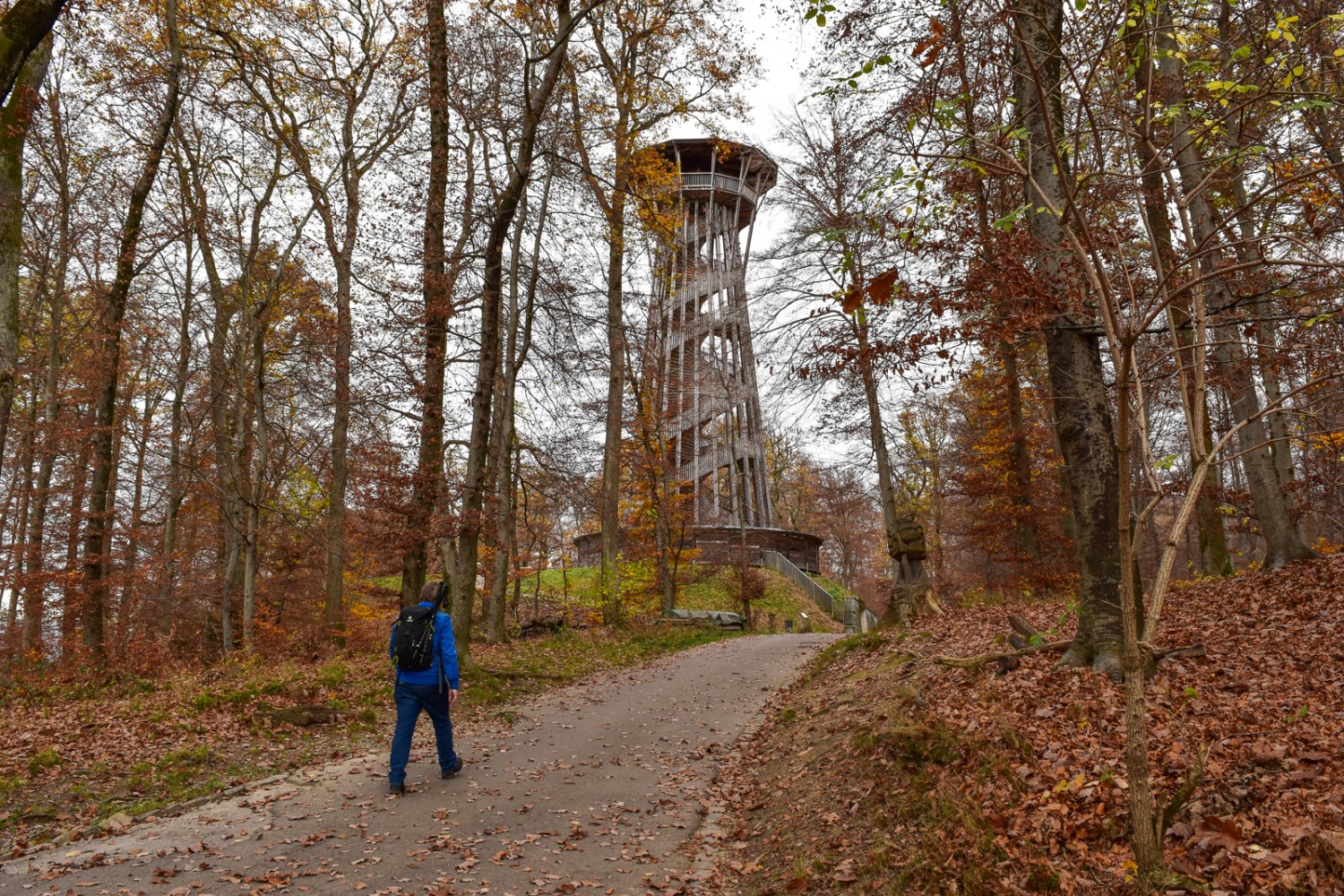 Der Aussichtsturm im Parc de Sauvabelin mit seiner spiralförmigen Wendeltreppe. Bild: Nathalie Stöckli