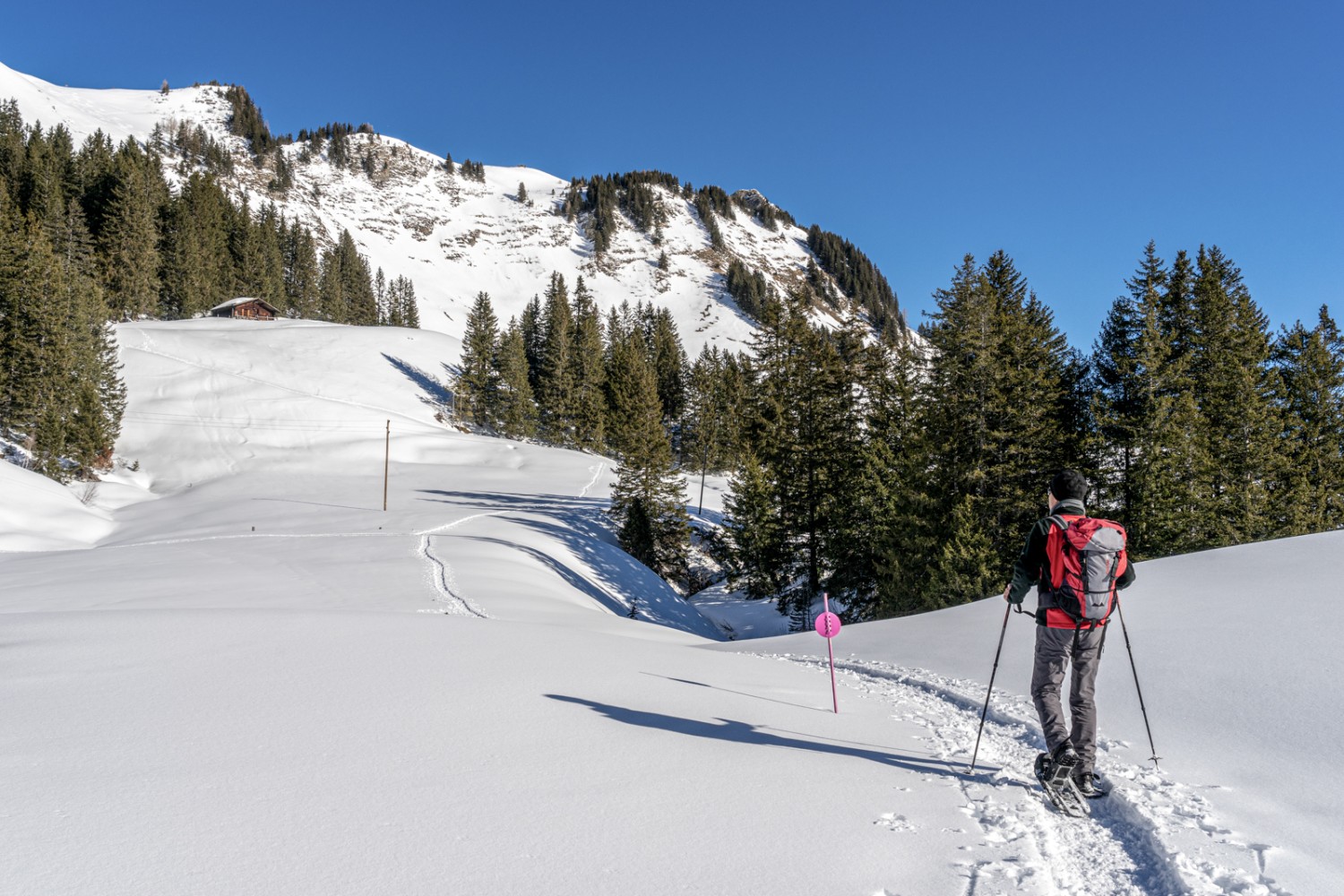 Bei Le Rard, mit Blick hinauf zum Col de Voré. Bild: Fredy Joss