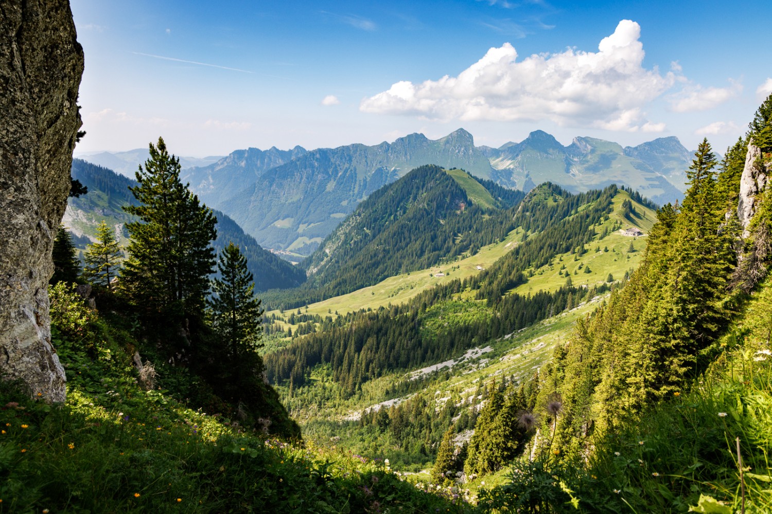 Vom Pass Wolfs Ort reicht der Blick weit über die Gipfel der Voralpen. Bild: Severin Nowacki
