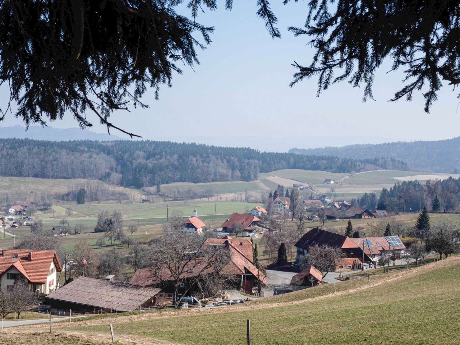 Das Dorf Schiltwald von Schweikhof aus gesehen. Bild: Barbara Graber
