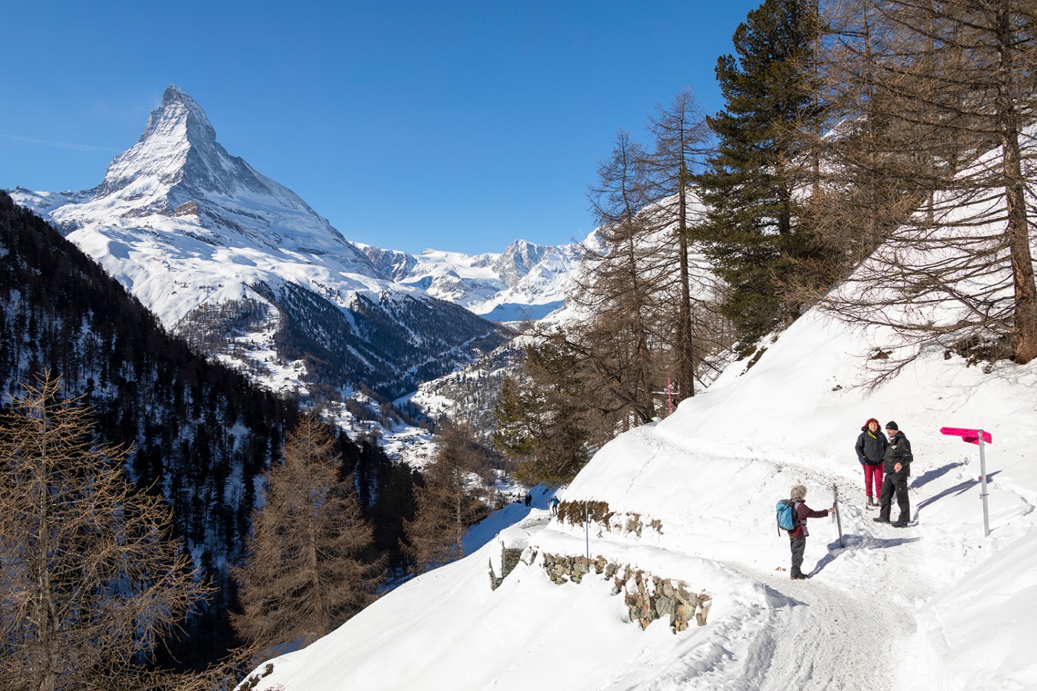 Während der Wanderung immer im Blickfeld: Das Matterhorn bestimmt die Aussicht. Bilder: Severin Nowacki