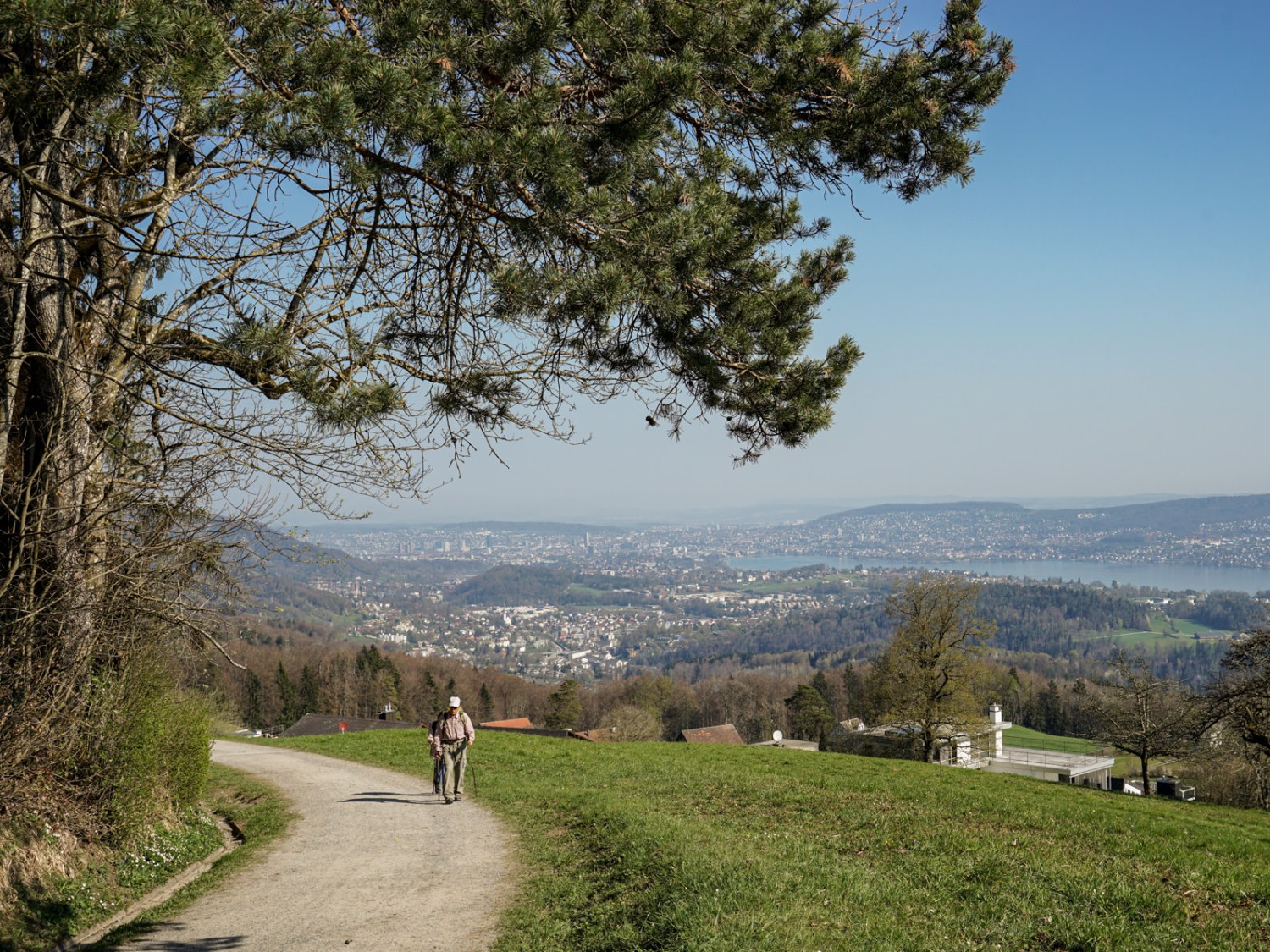 Aufstieg von der Albispasshöhe zur Hochwacht mit Aussicht auf den Zürichsee. Bild: Reto Wissmann
