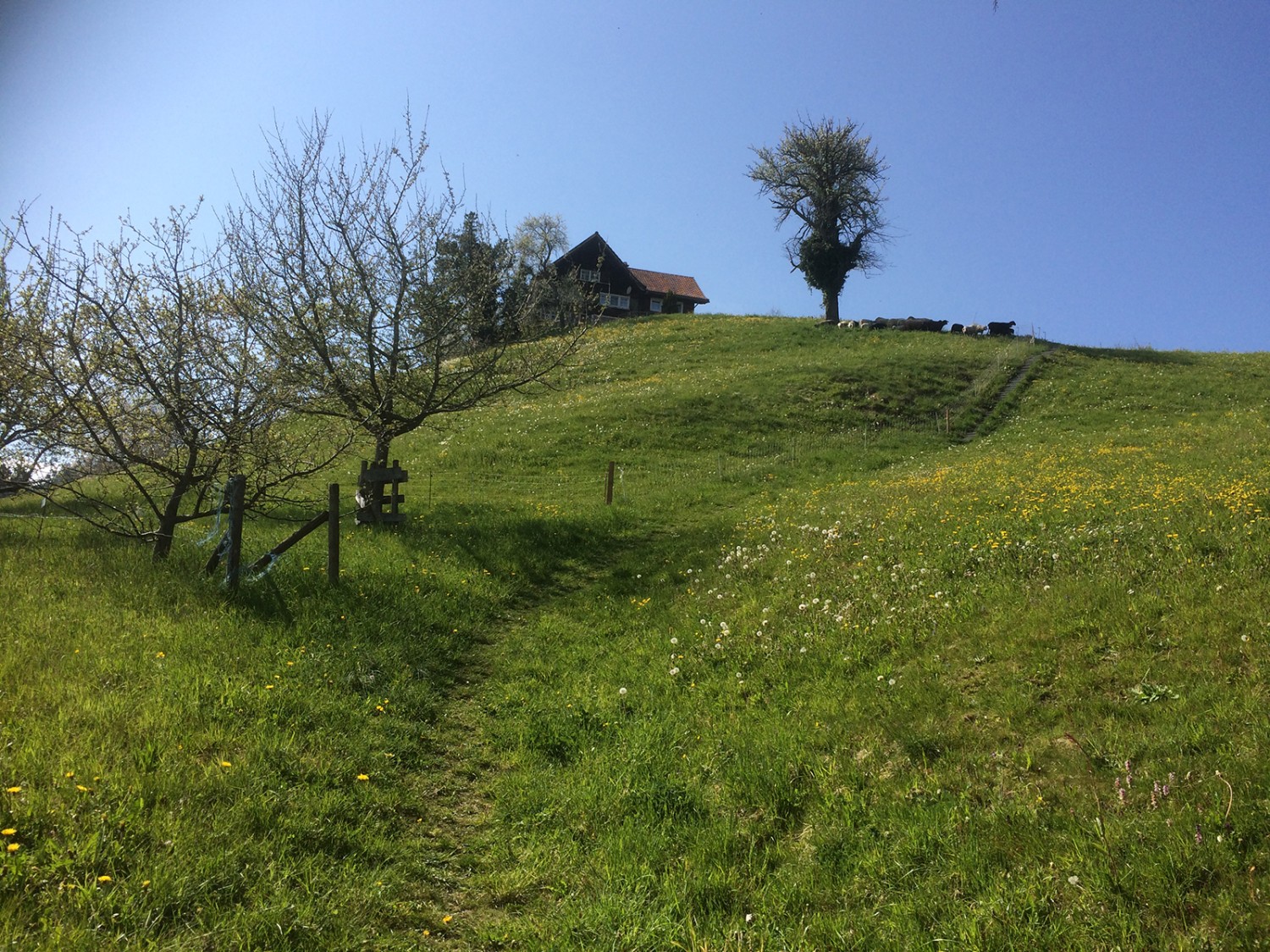 Wandern im Kanton Appenzell Ausserrhoden und durch hügelige Landschaften.