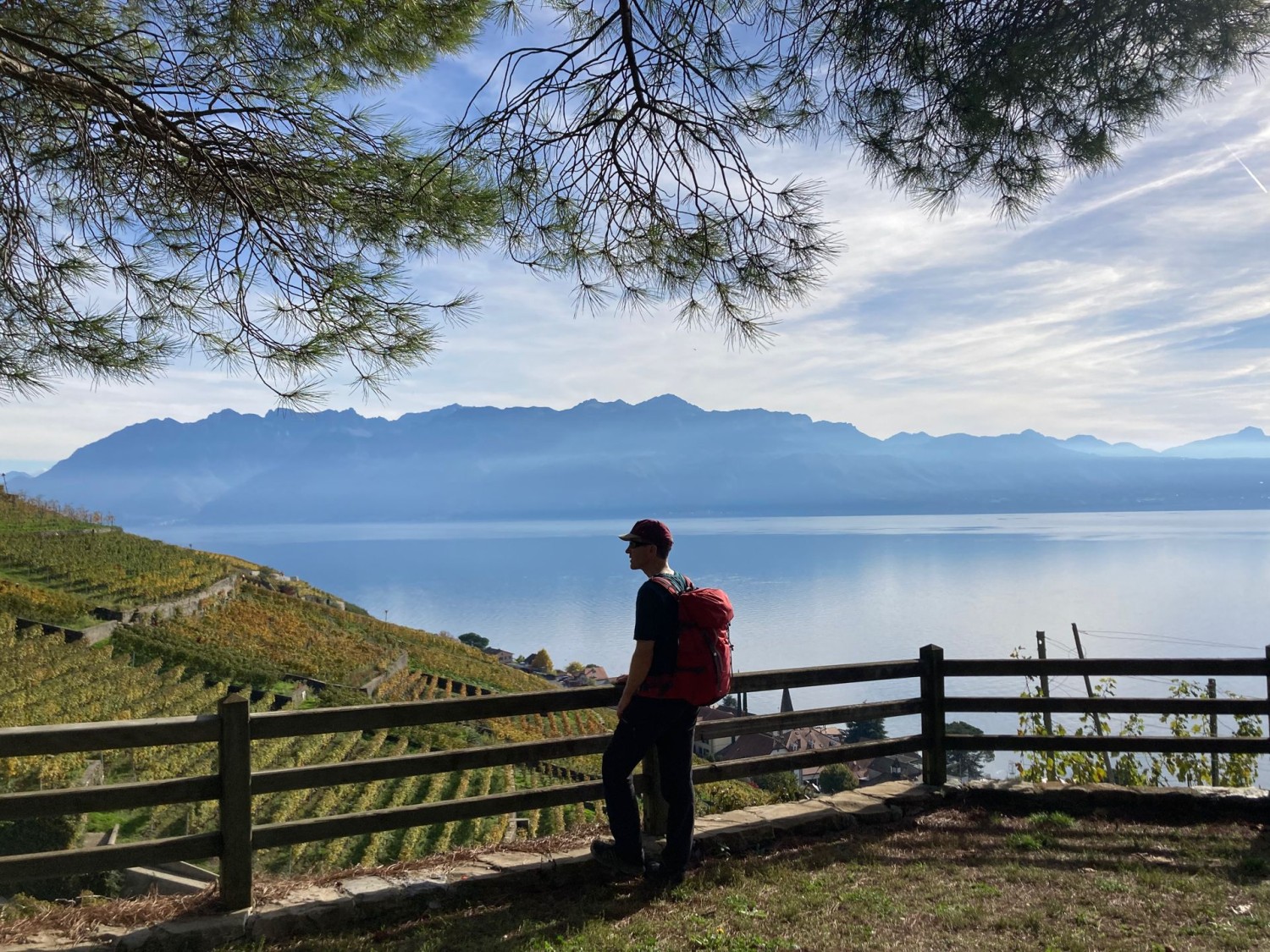 Vue sur les Alpes valaisannes et savoyardes