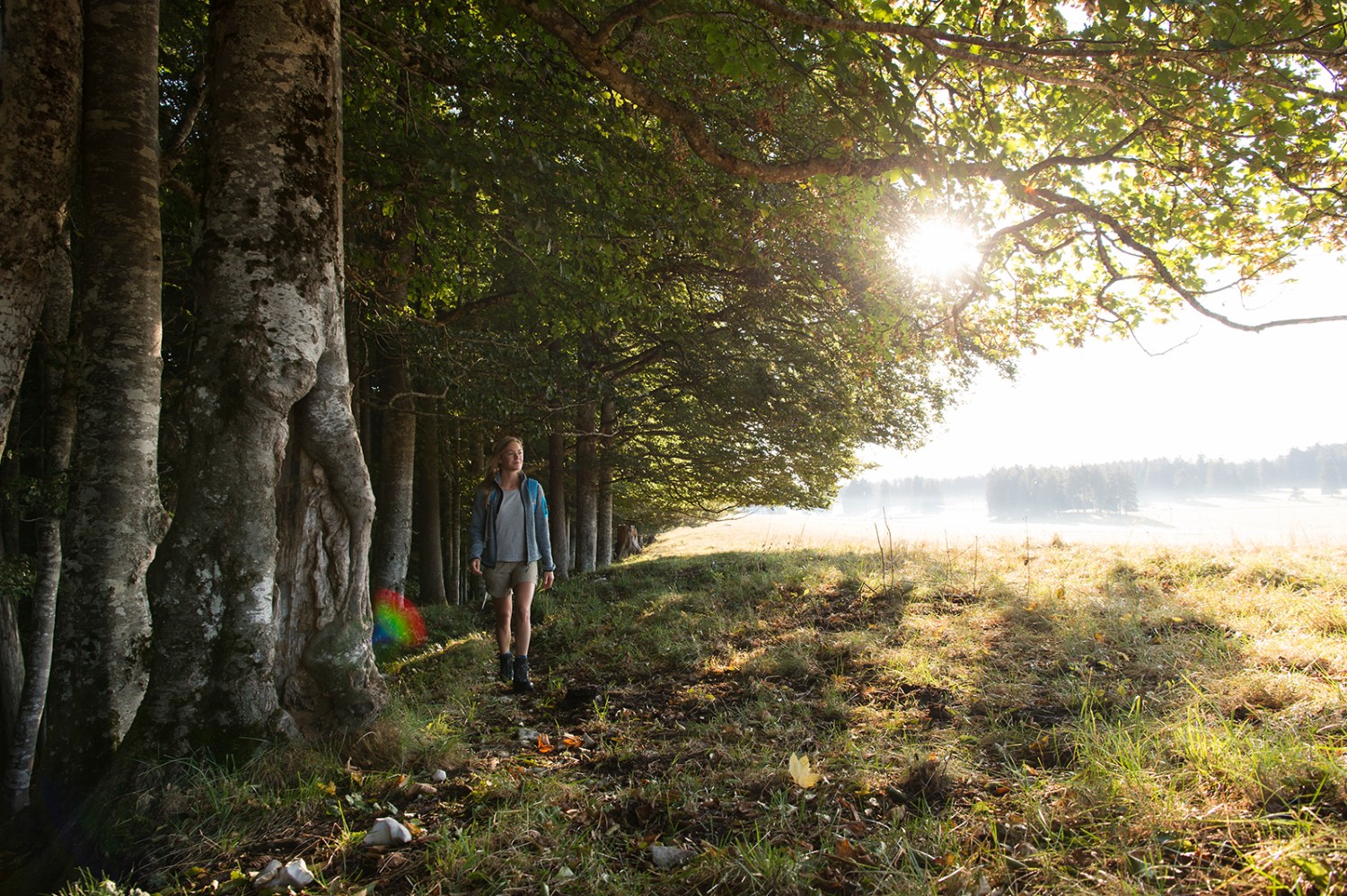 Das Morgenlicht begleitet die Wanderin durch die Freiberge. Bild: Raja Läubli