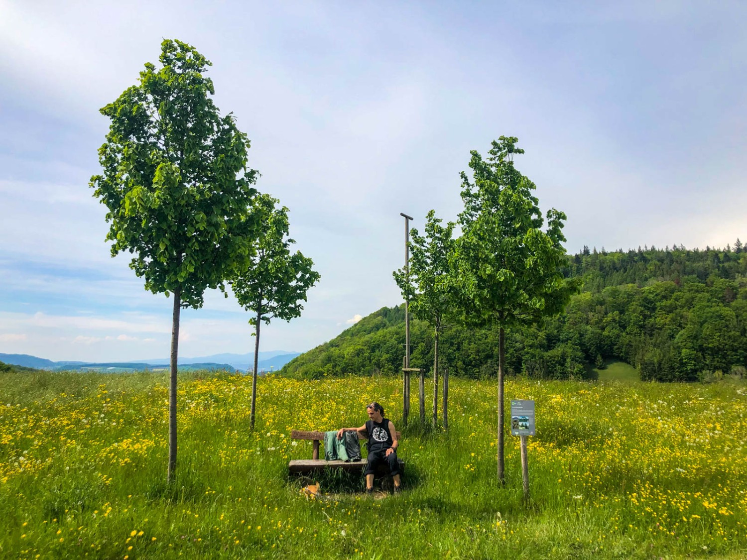 Noch sind die Bäume jung: die Baumkapelle bei Aelmhard. Bild: Vera In-Albon