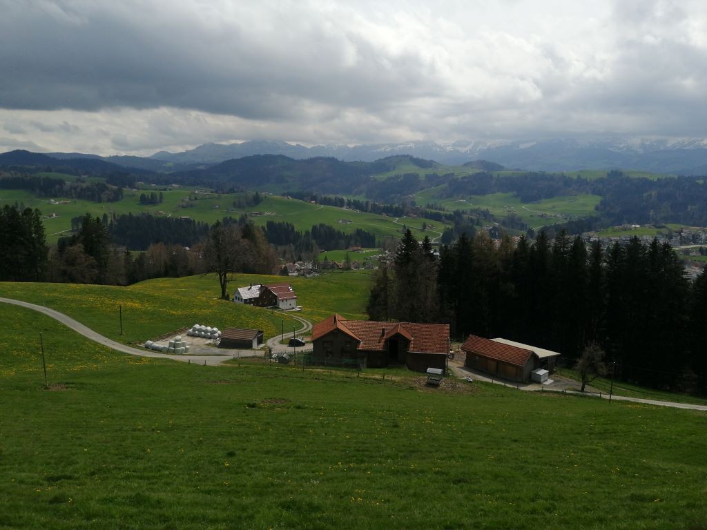 Blick Richtung Alpstein