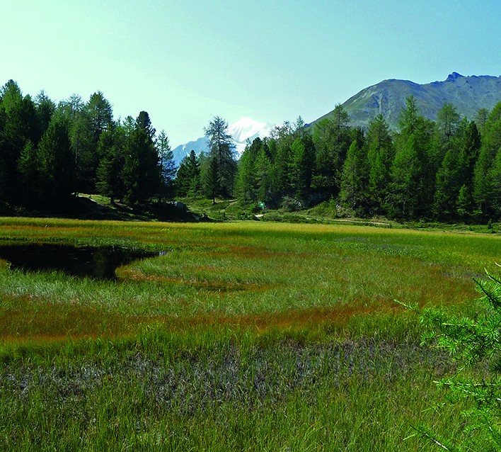 Der Bonigersee gehört zu einem geschützten Hochmoor. 