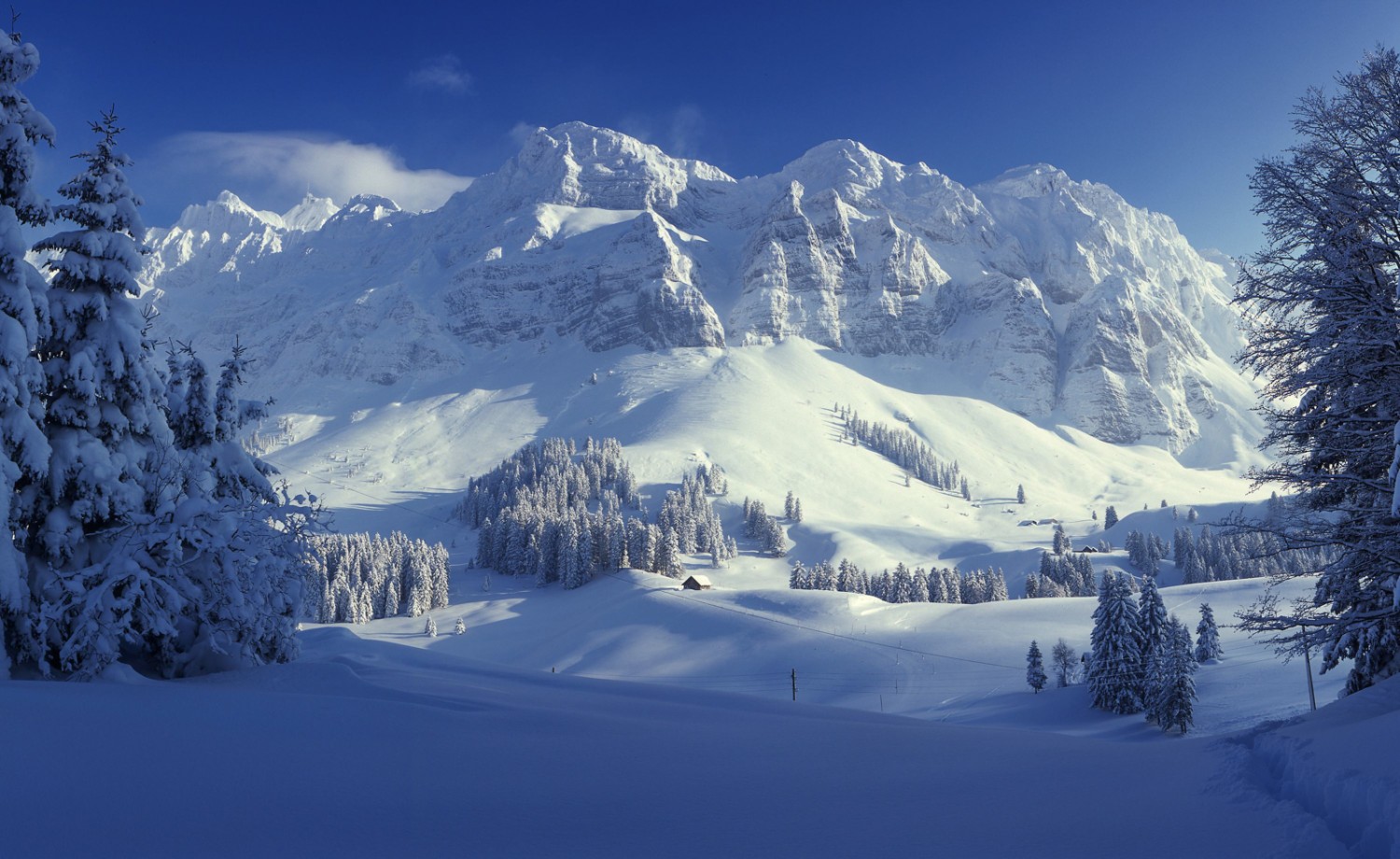 Blick von der Schwägalp zum Alpstein. Bild: Appenzellerland Tourismus AR