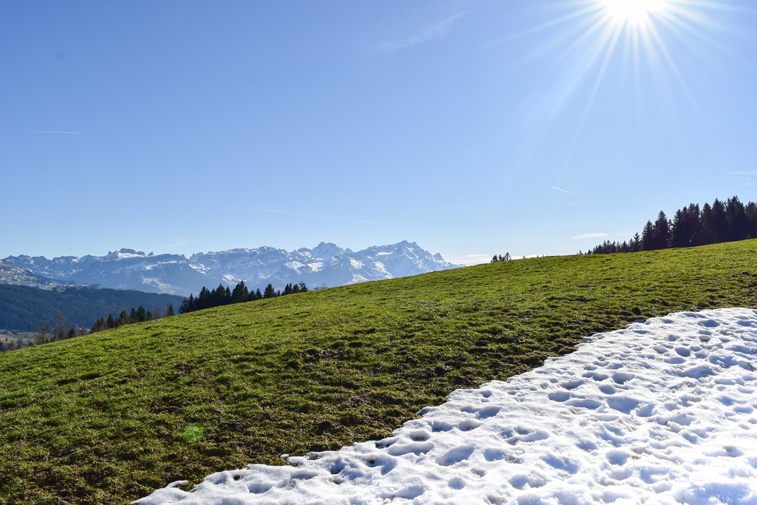 Blick auf den Alpstein vom Gäbris aus.
Bilder: Nathalie Stöckli