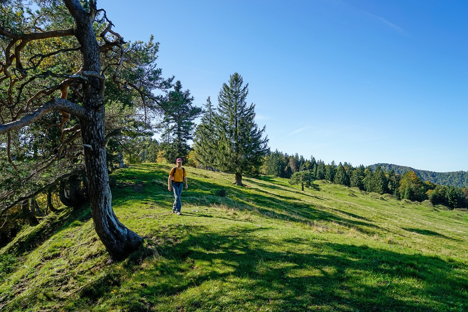 Unterwegs zum Chellenspitz. Rechts hinten sind noch die «Bergschlipf-Hügeli» zu erkennen.
Bilder: Fredy Joss