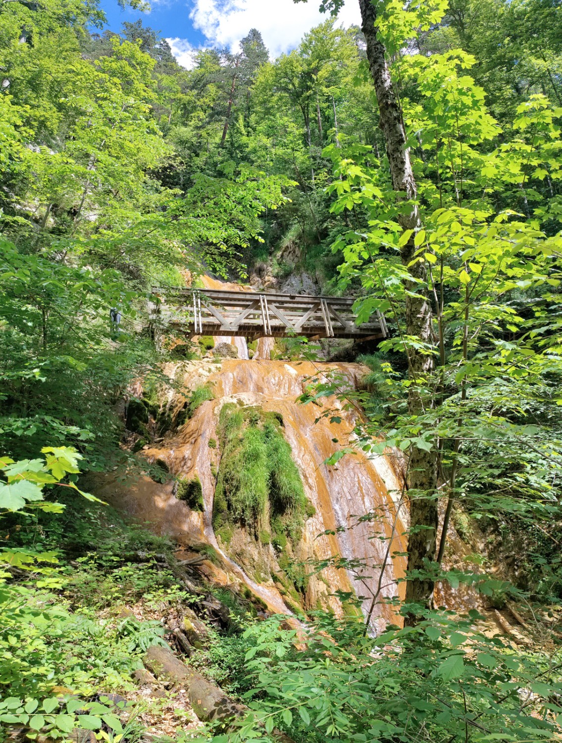 Au niveau de ce pont, le ruisseau Gore Virat chute dans le vide de manière spectaculaire. Photo: Michael Dubach