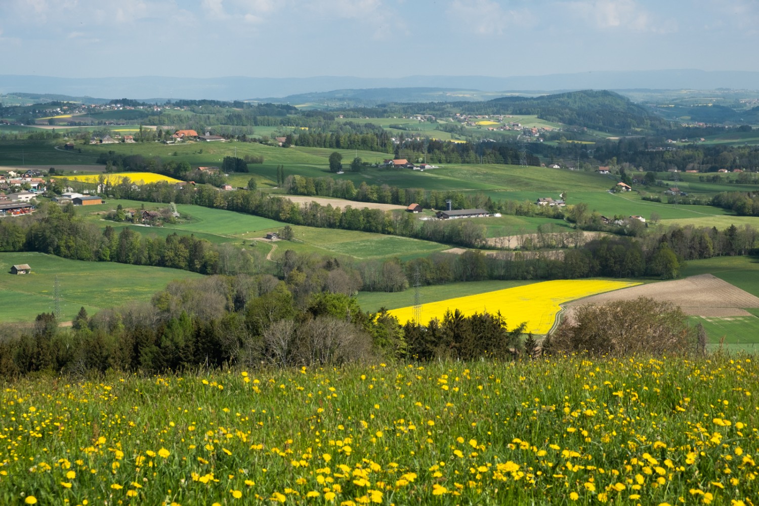 Poco dopo l'inizio si hanno delle belle viste su prati e campi.