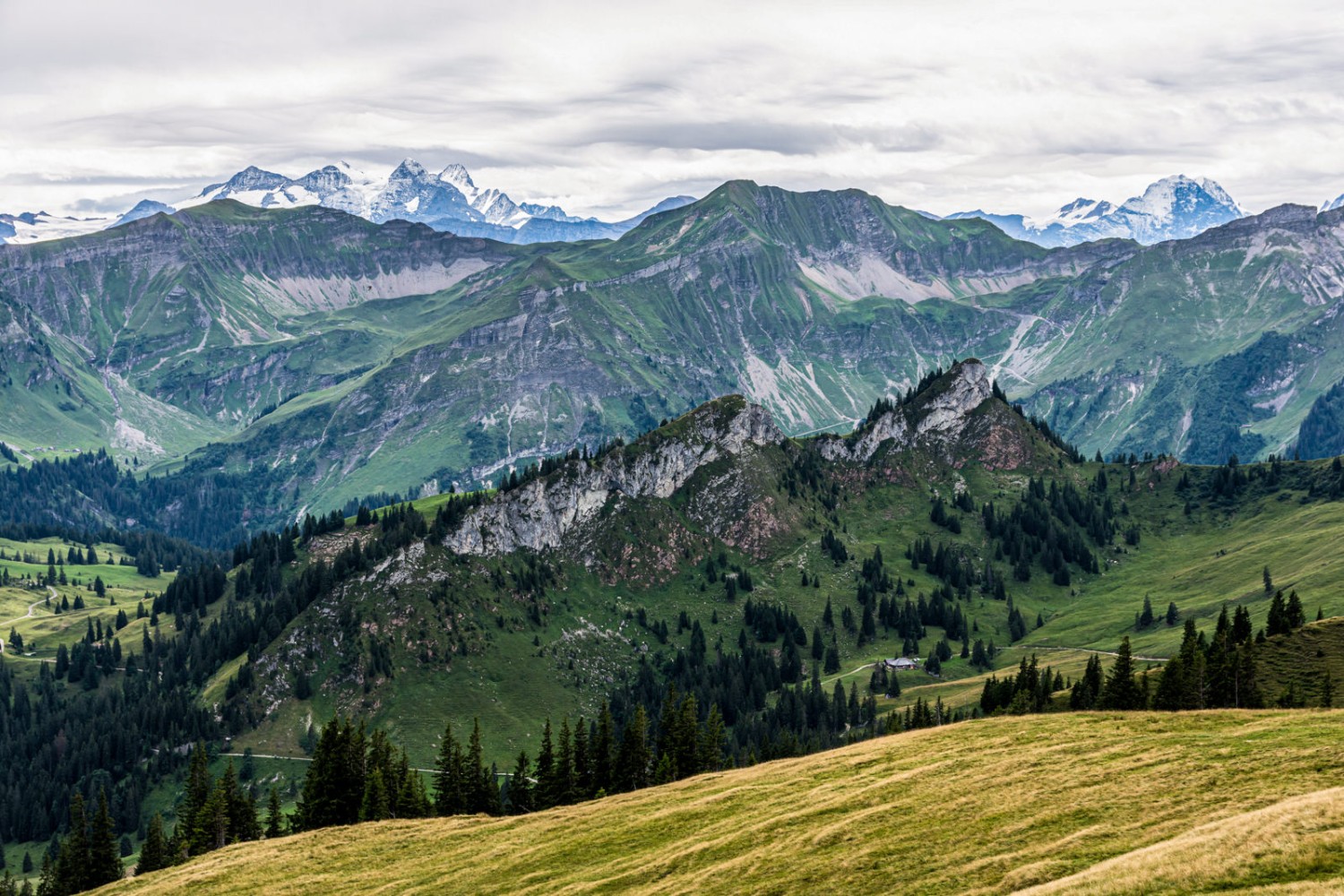 Aussicht auf die Berner Alpen. Bild: Franz Ulrich