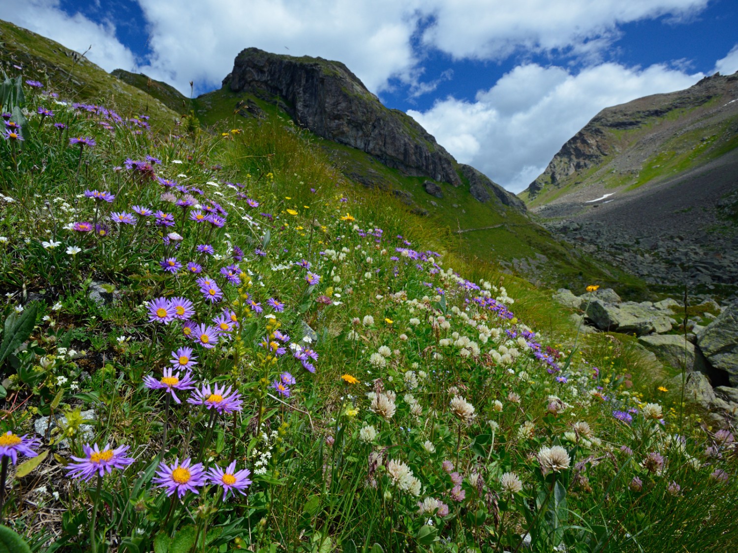 I colori della natura. La vista sul passo di Val Viola. Foto: natur-welten.ch
