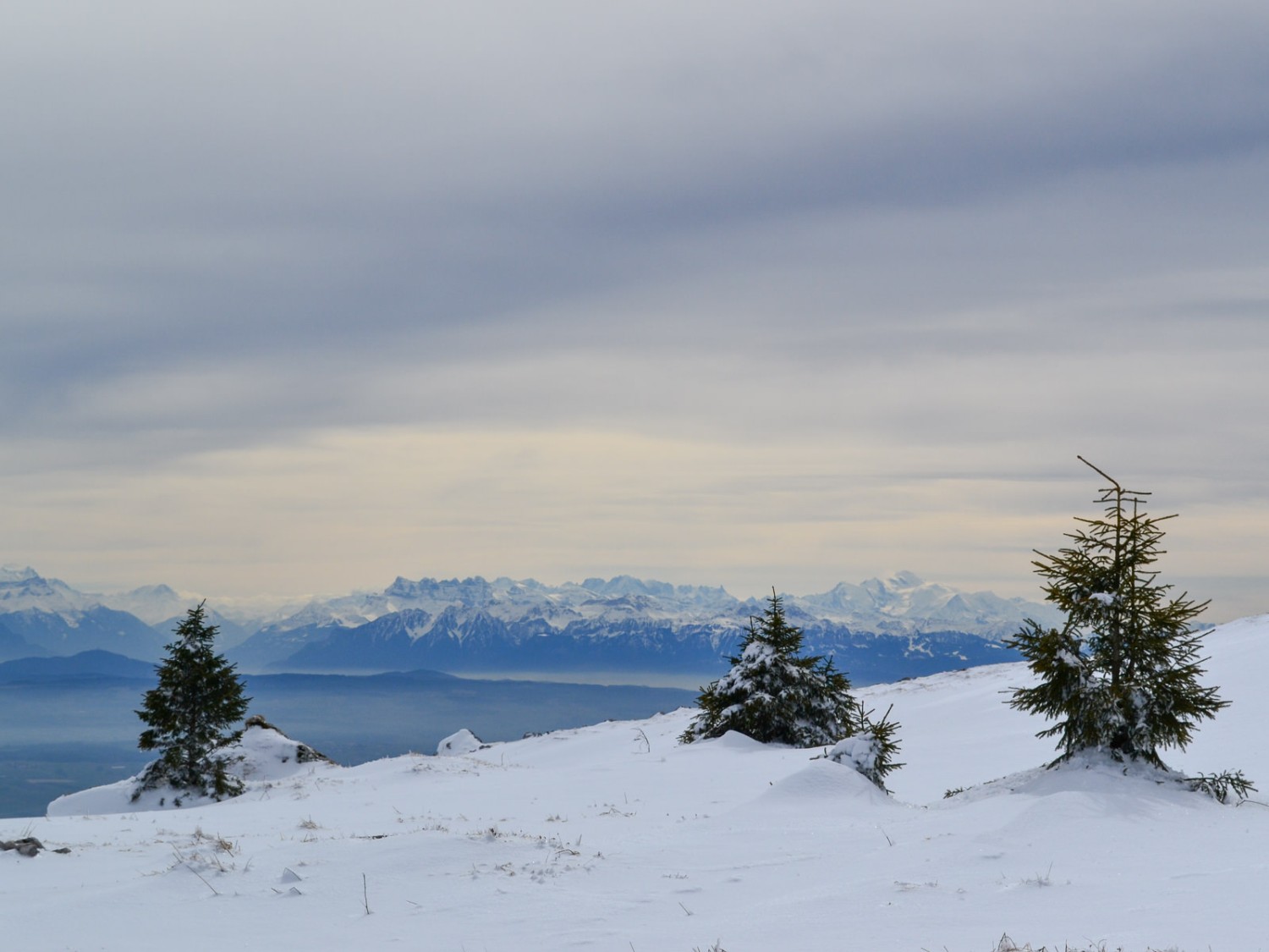 Winterstimmung mit Blick zu den Walliser und Savoyer Alpen mit Mont Blanc und Dents du Midi. Bilder: Sabine Joss
