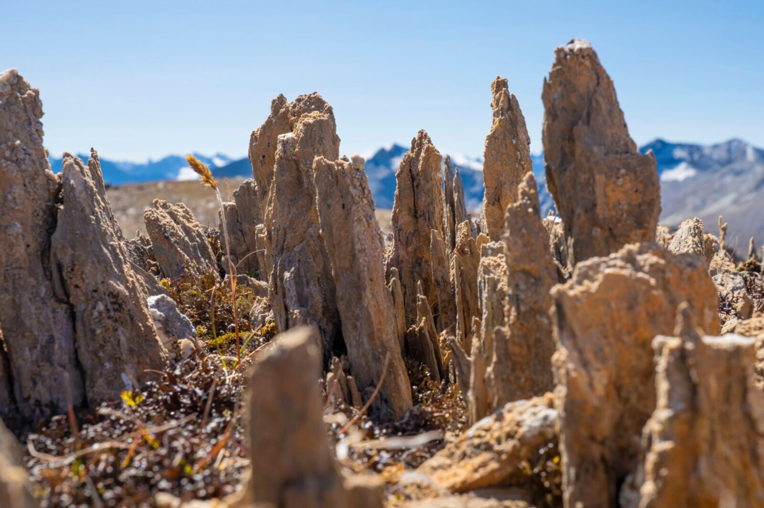 Roches érodées à la verticale au Fallerfurgga