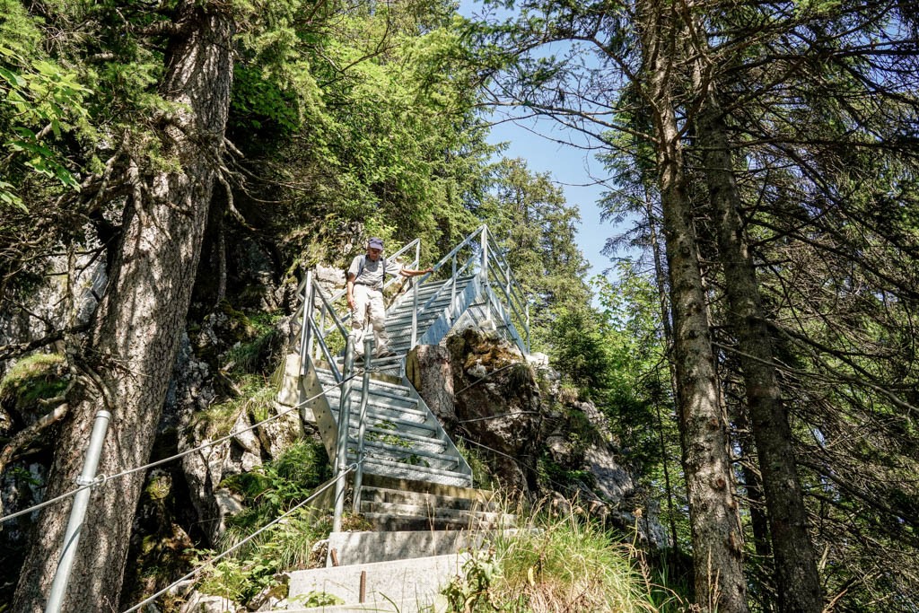 Treppen und Geländer helfen über die Bärenfallen hinunter. Bild: Fredy Joss