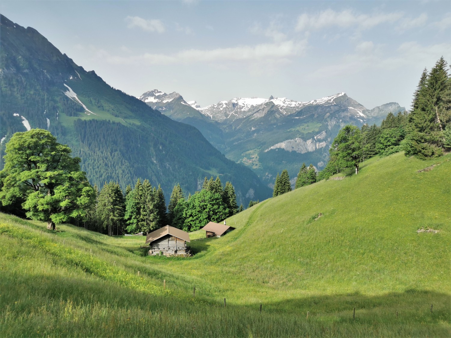 Der Ausblick von Sengg, wo Berg- und Alpwirtschaft die Landschaft bestimmen. Bild: Andreas Staeger