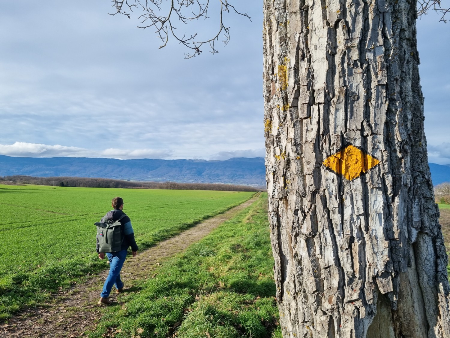 Promenade dans la campagne. Photo: Nathalie Stöckli