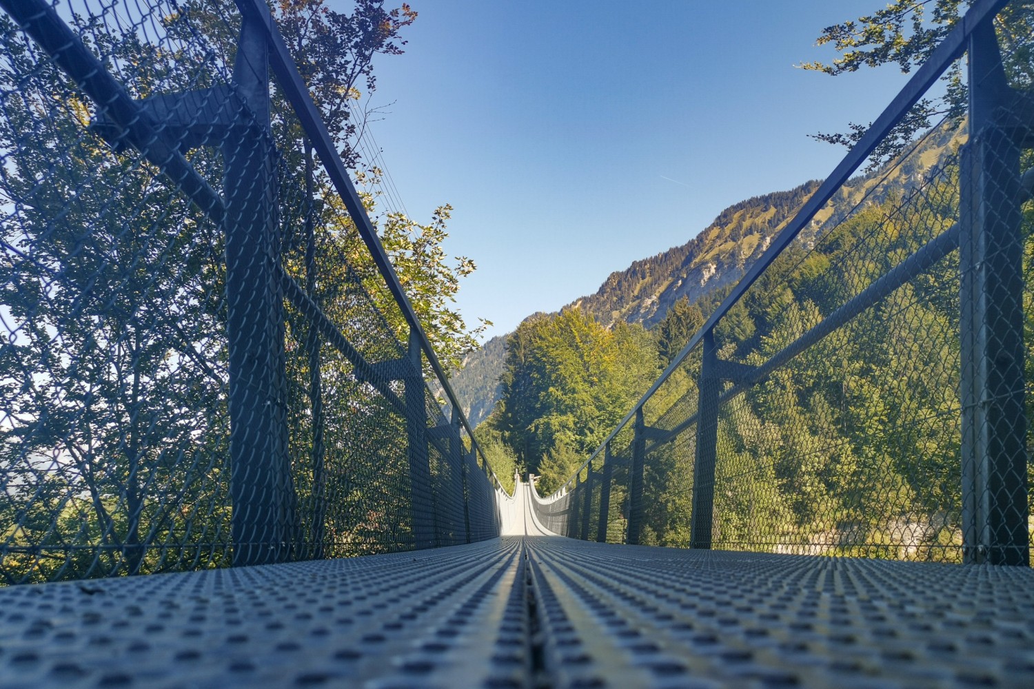 Prima di arrivare alla Meielisalp si deve attraversare un ponte sospeso. Foto: Evelyne Zaugg