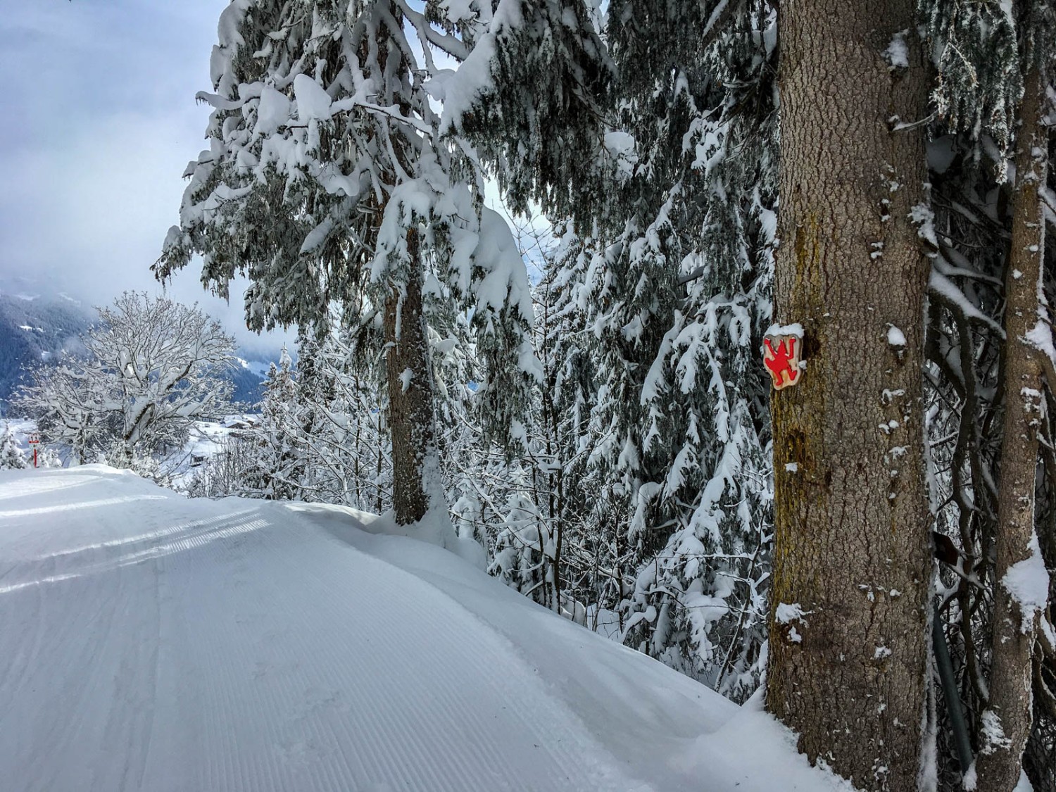 Auch im Winter dabei: Das rote Logo von Maskottchen Zwerg Bartli. Bild: Claudia Peter