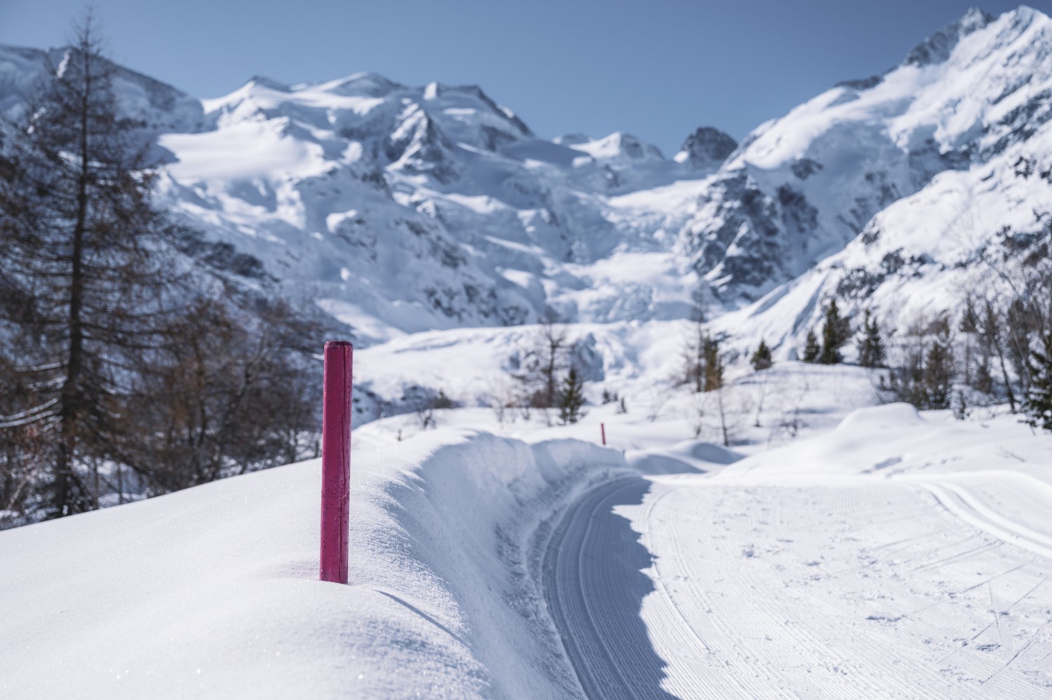 Die ganze Wanderung befindet sich auf dem präparierten Winterwanderweg, signalisiert mit pinken Pfählen. Bild: Jon Guler