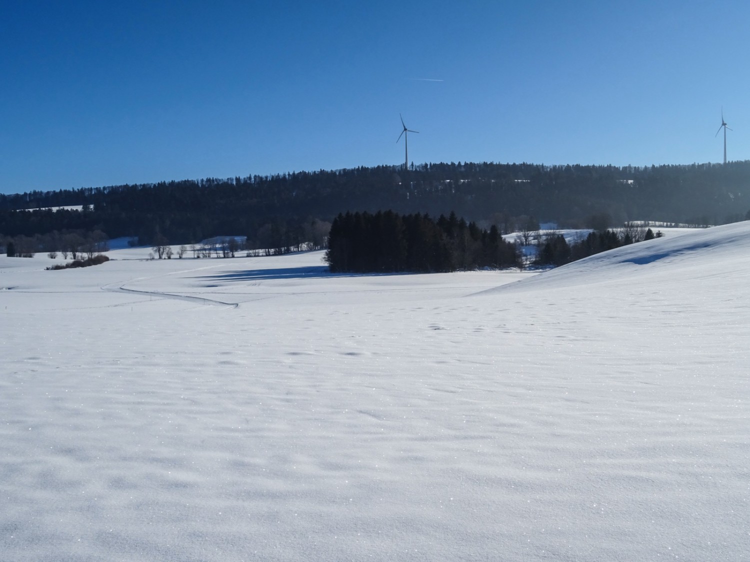 Der Winterwanderweg führt vor Le Noirmont querfeldein über weite Ebenen. Bild: Sabine Joss