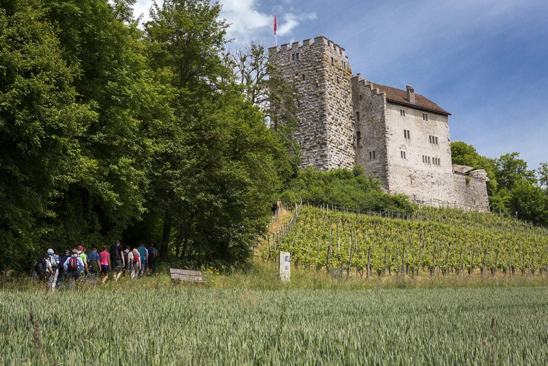 A sinistra: castello degli Asburgo, sede degli Asburgo. Foto: Associazione «I castelli svizzeri»