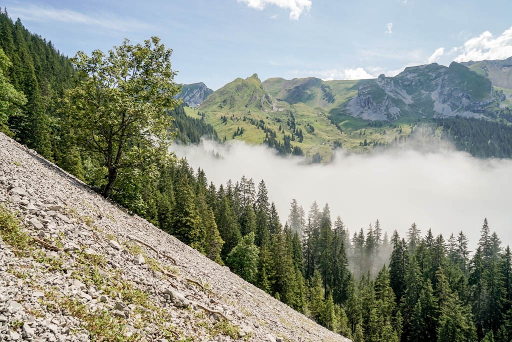 Sicht vom steilen Aufstieg zum spitzen Schinberg (links) und zum Risetenstock dahinter. Bild: Fredy Joss