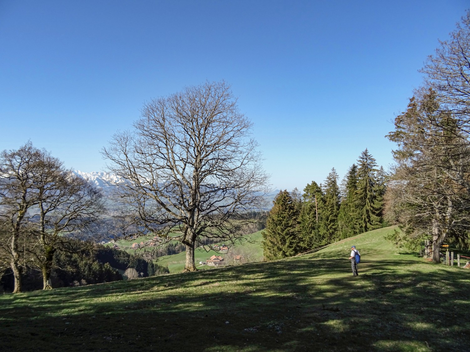 Oberhalb der Aeschlenalp. Bild: Sabine Joss