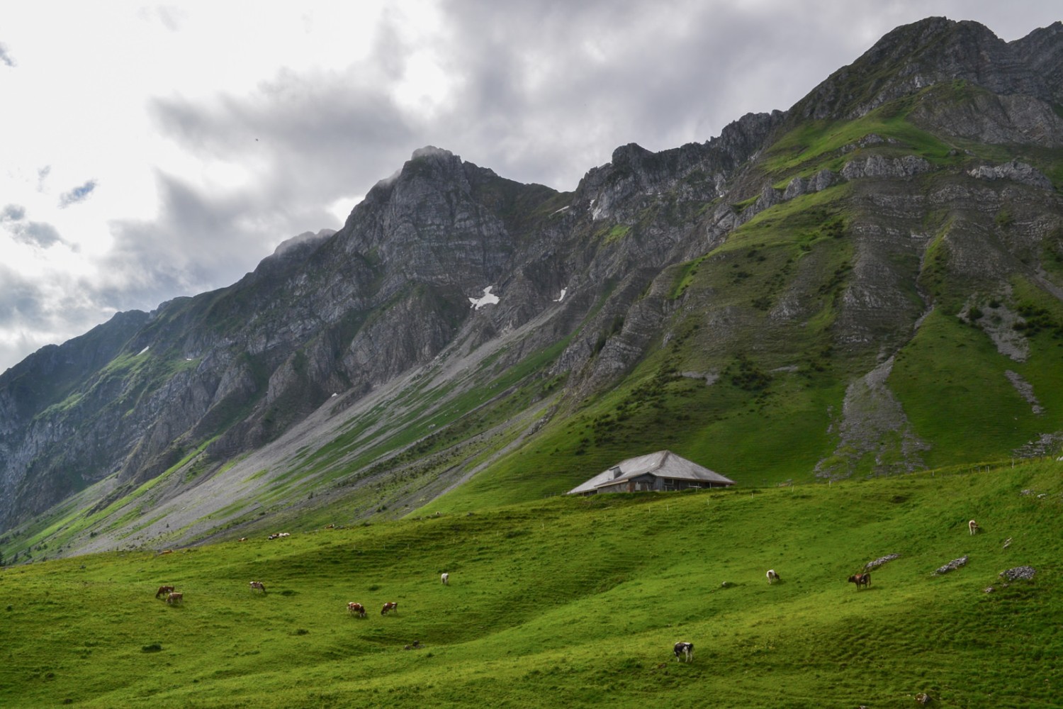 Sous les flancs du Stierengrat. Photo: Sabine Joss