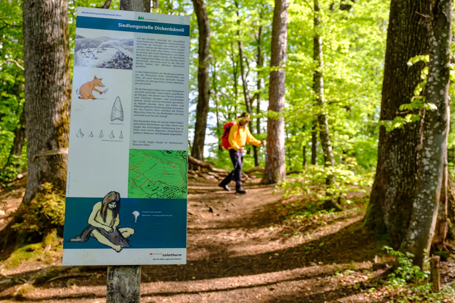 Wäre nicht die Infotafel am Dickenbännli, würde man glatt an der historischen Wehranlage vorbeiwandern. Bild: Iris Kürschner