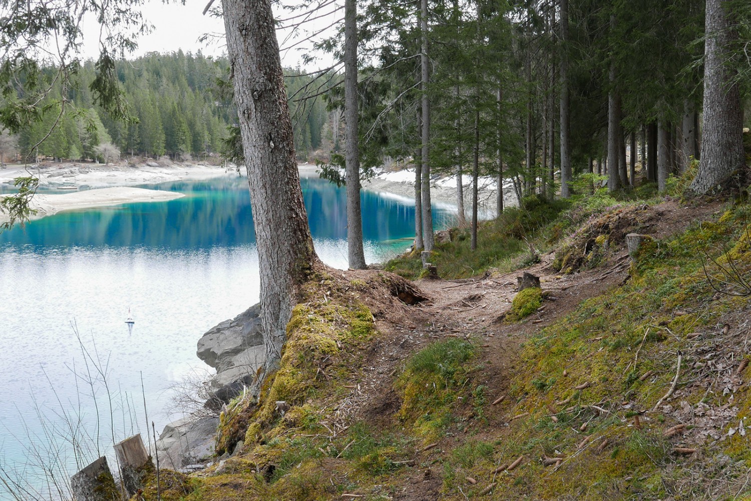 Boschi verde intenso e laghi alpini dall’acqua turchese: l’escursione è caratterizzata da forti contrasti cromatici. Foto: Susanne Frauenfelder