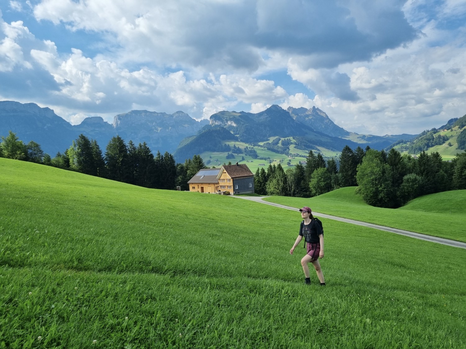 À travers champs: après un petit tronçon sur la route principale, la randonnée évolue dans des collines verdoyantes. Photo: Natalie Stöckli