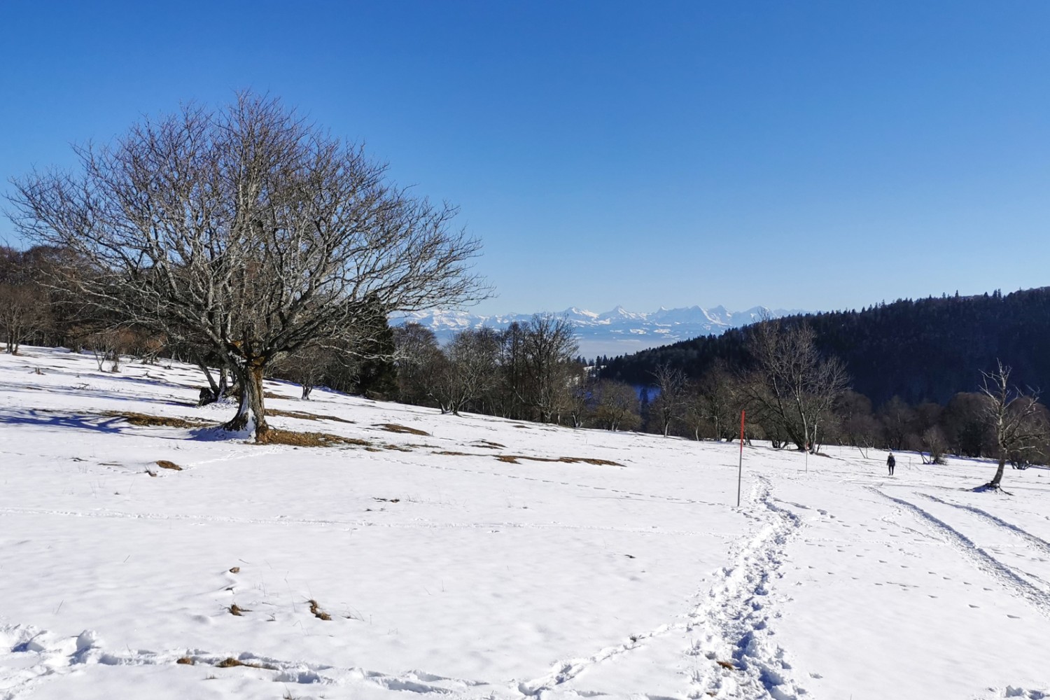 Beim Aufstieg zum Place centrale öffnet sich die Sicht zu den Alpen.
Bild: Andreas Staeger