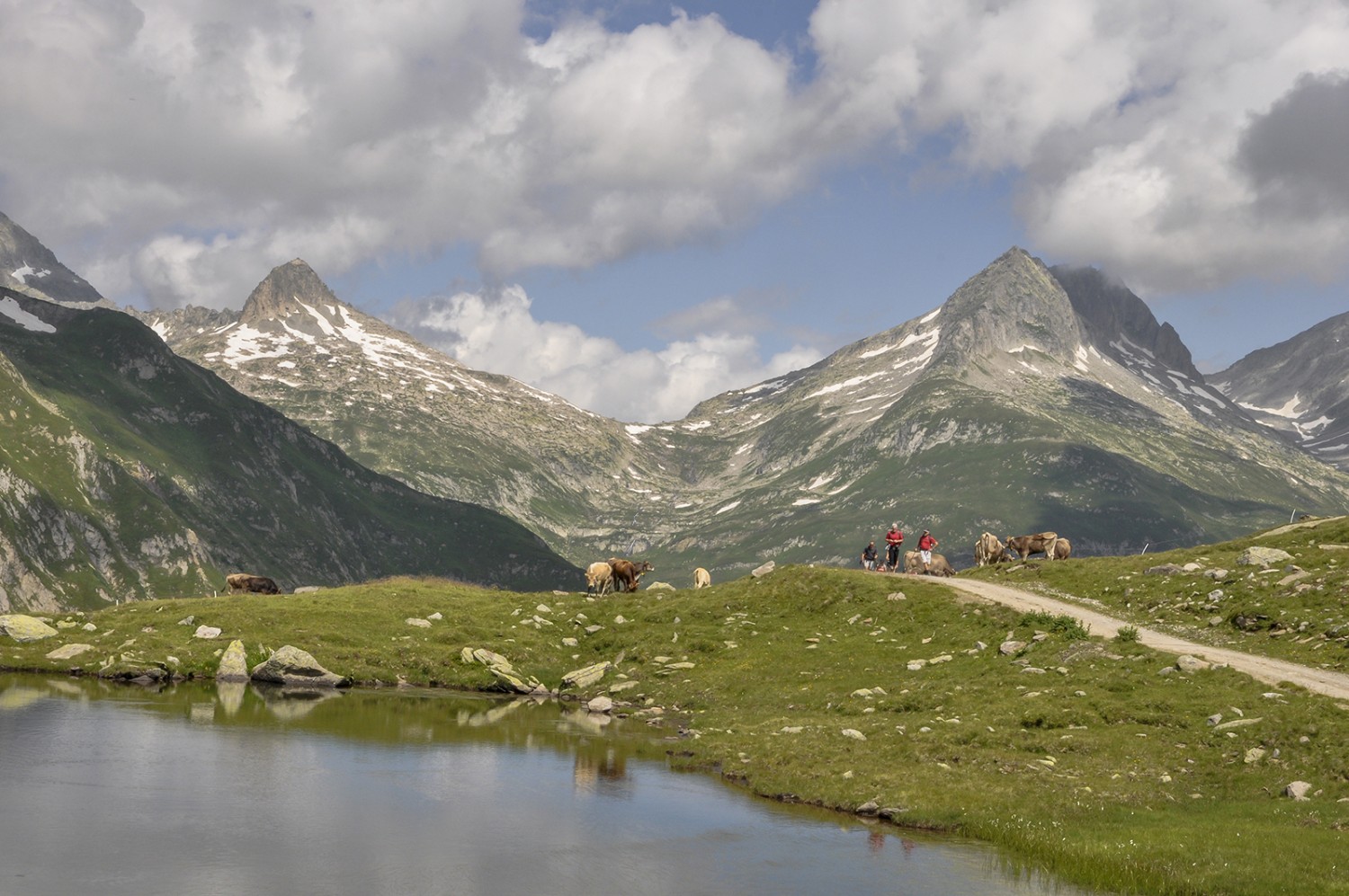 Lai Urlaun unterhalb der Maighelshütte mit Blick zurück Richtung Oberalppass. Bilder: Daniel Fuchs