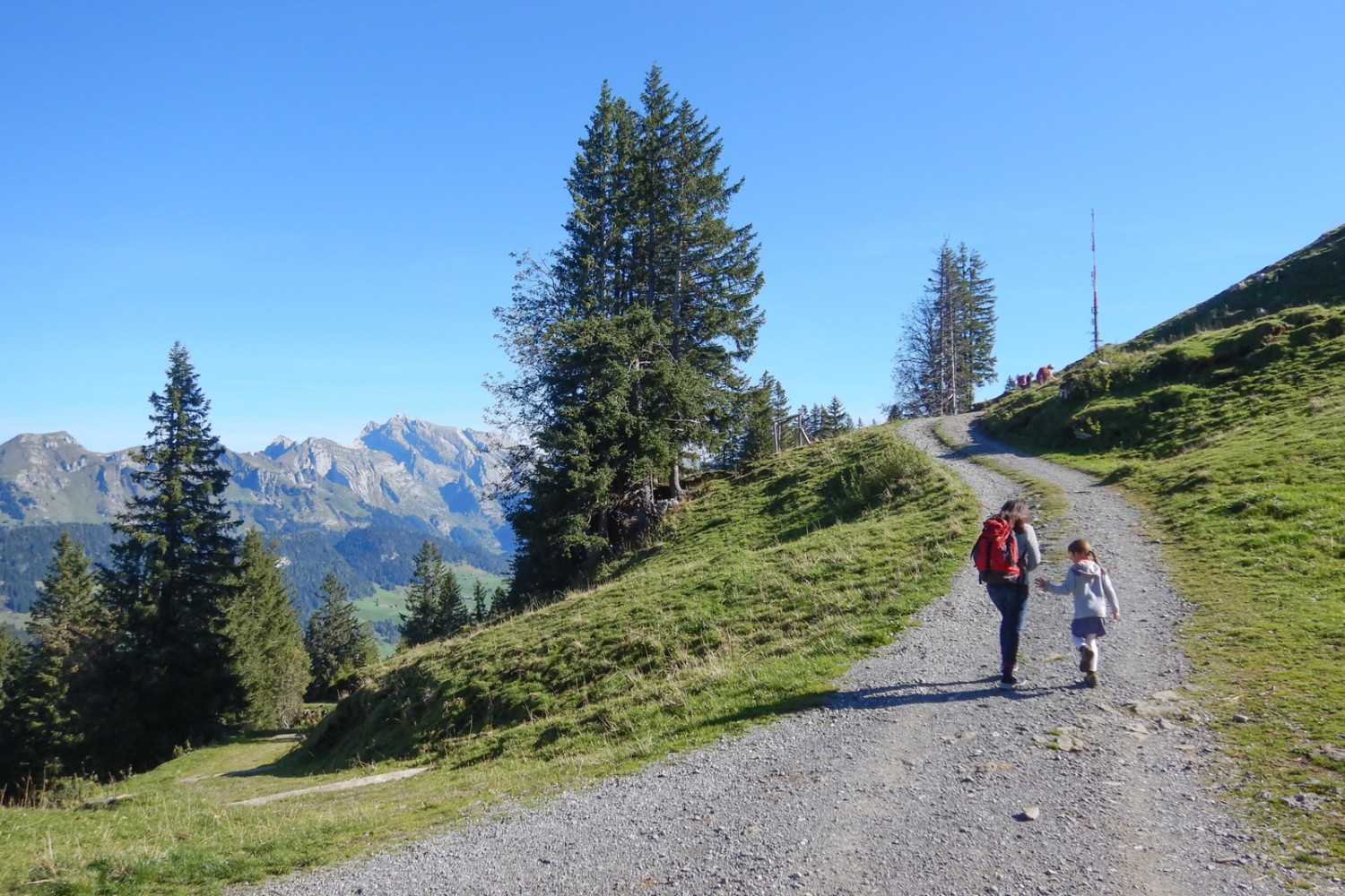 Kurz nach dem Start bei der Bergstation: Die Gipfelstürmerin gib das Tempo vor. Bild: Susanne Frauenfelder