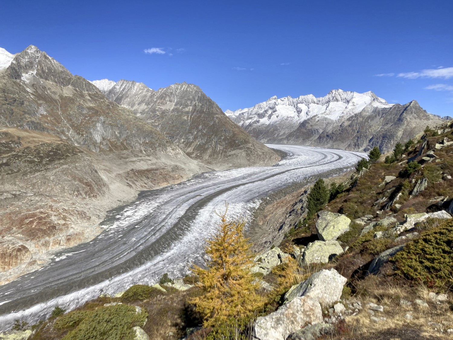 Le glacier d'Aletsch avec le Grosser Wannenhorn en arrière-plan. Photo : Sabine Joss