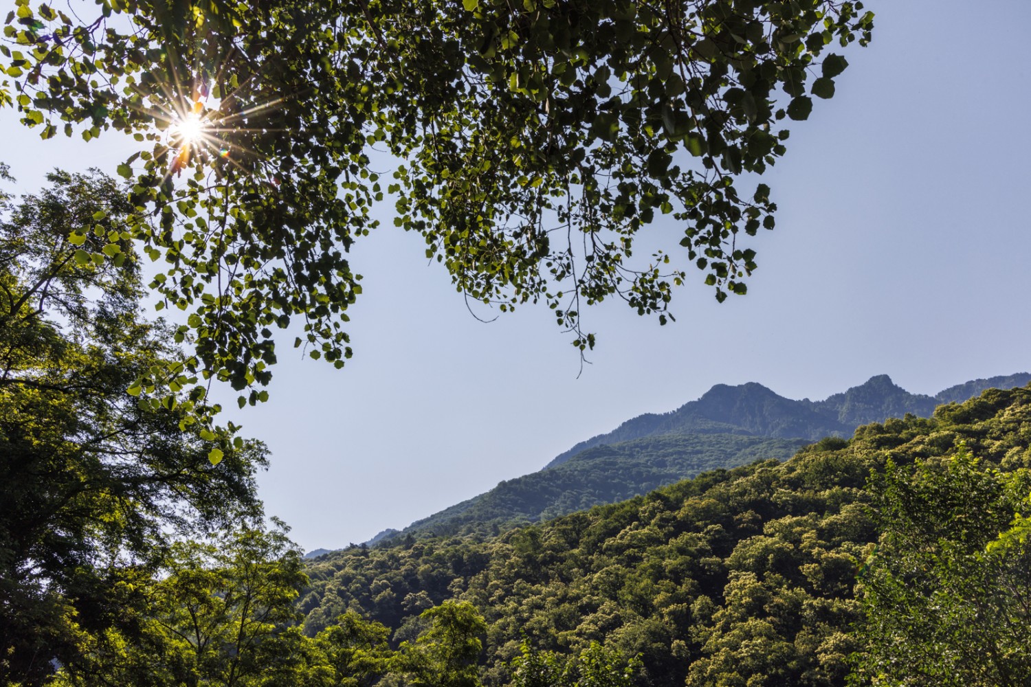 Tra colline e verde: la variegata escursione alterna tratti all’ombra e splendide viste. Foto: Severin Nowacki