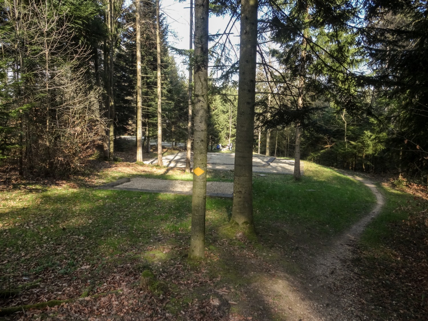 Die Standorte der gallorömischen Tempel des Petinesca-Heiligtums... Bild: Miroslaw Halaba