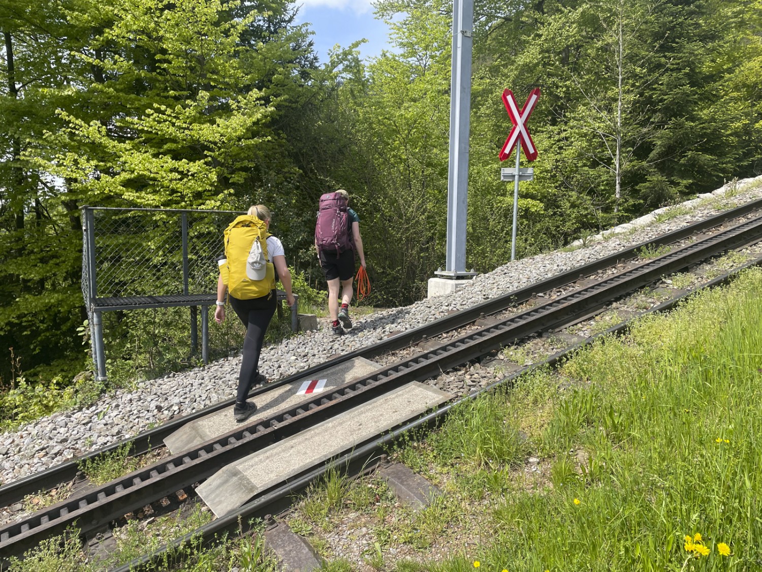 Attention au train! On traverse la voie du train à crémaillère montant à Rigi Kulm. Photo: Rémy Kappeler