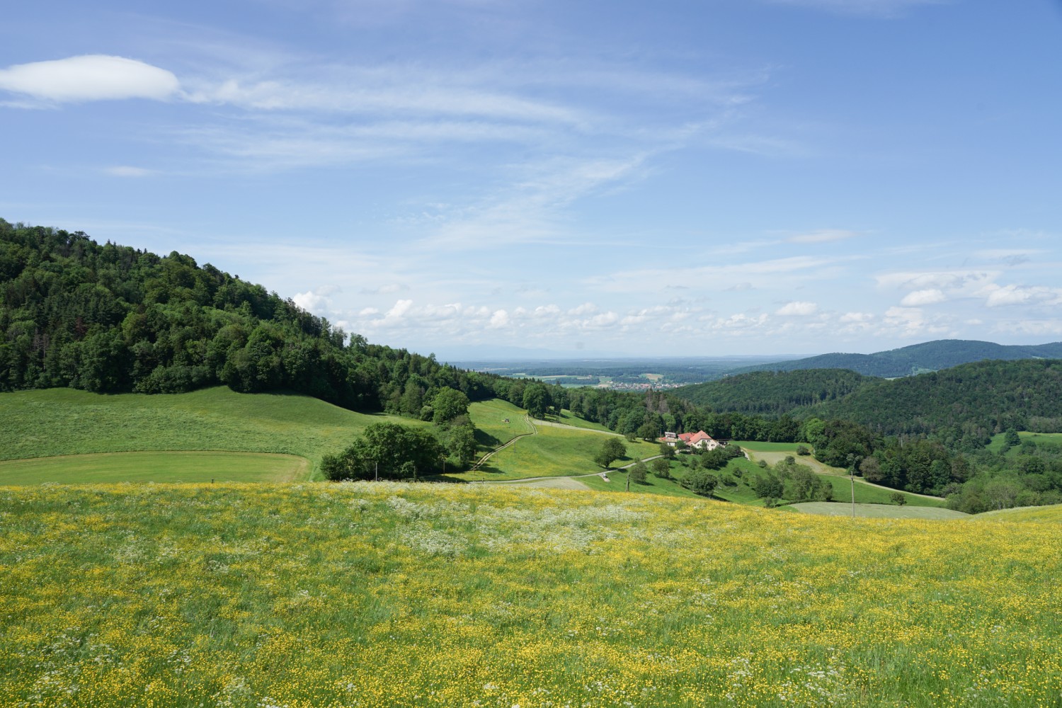 Blick über die Ajoie nach Norden, links der Mont Terri. Bild: Reto Wissmann