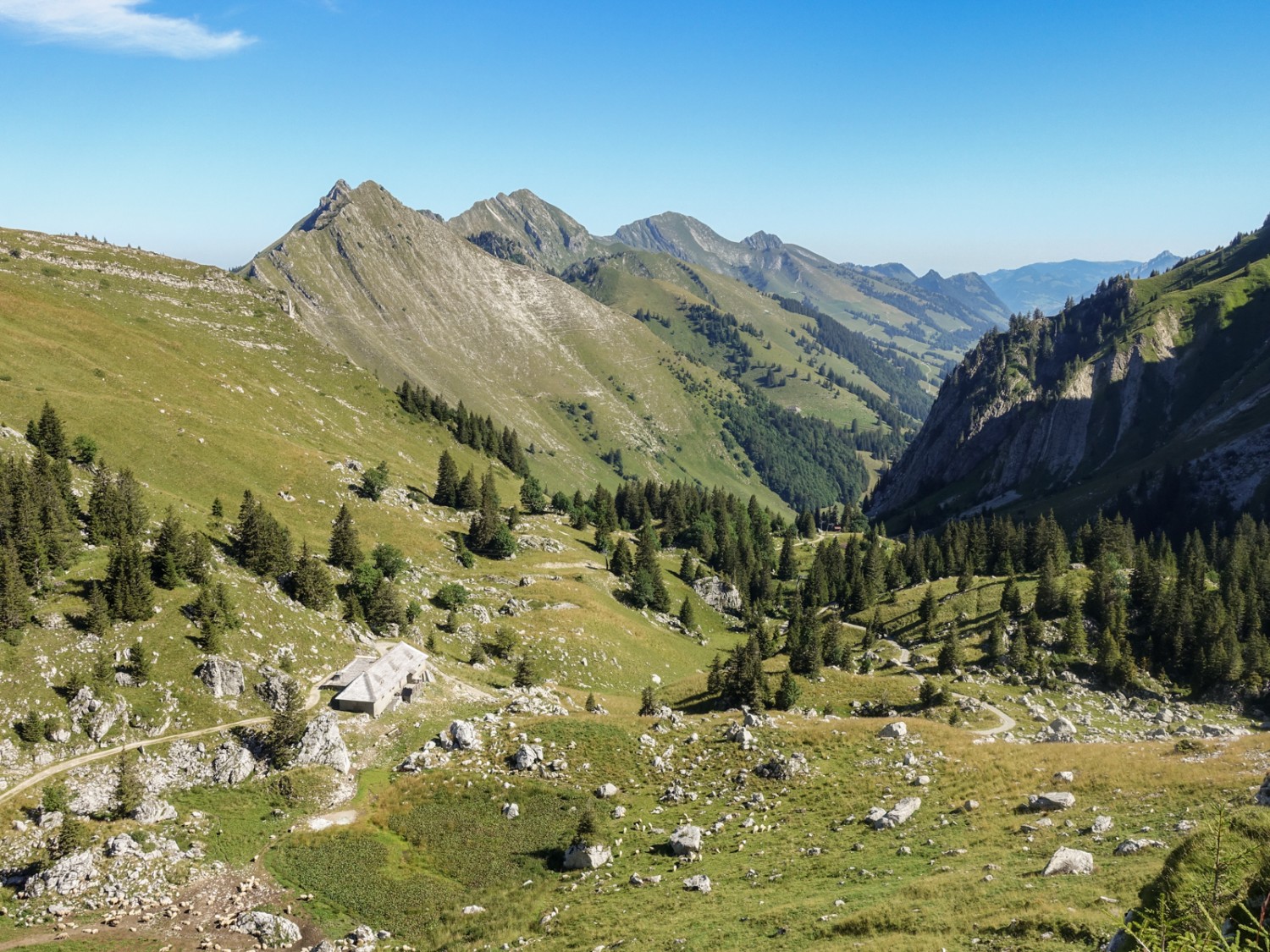 Unverfälschte grüne Natur. Bild: Lauriane Clément