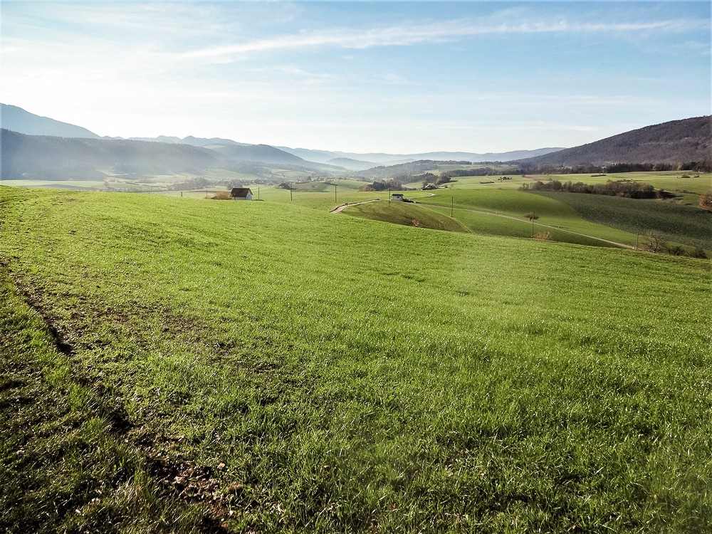 Ein herrlich freier Blick nach Westen, in Richtung Delémont. Foto: Miroslaw Halaba