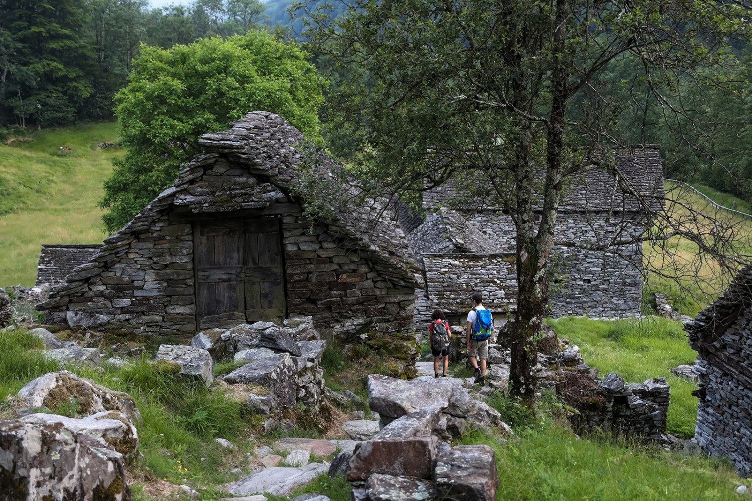 L'escursione alle lucciole conduce attraverso le tipiche villaggi ticinesi. Bilder: Rémy Steinegger
