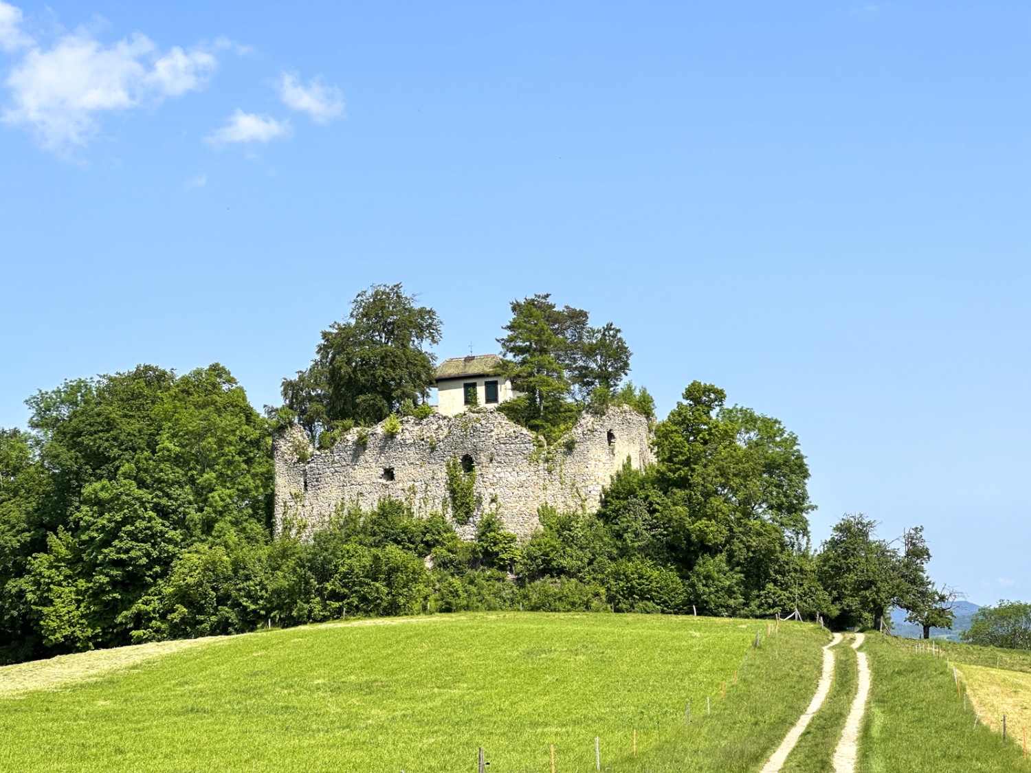 Die Burgruine Neu Schauenburg. Bild: Thomas Gloor