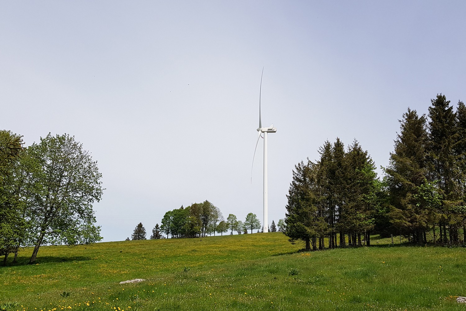 Le imponenti turbine eoliche sono più alte della cattedrale di Berna o della Prime Tower. Foto: Nathalie Stöckli