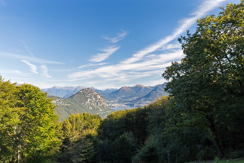 Aussicht beim Grotto Alpe di Brusino. Bilder: Daniel Fleuti