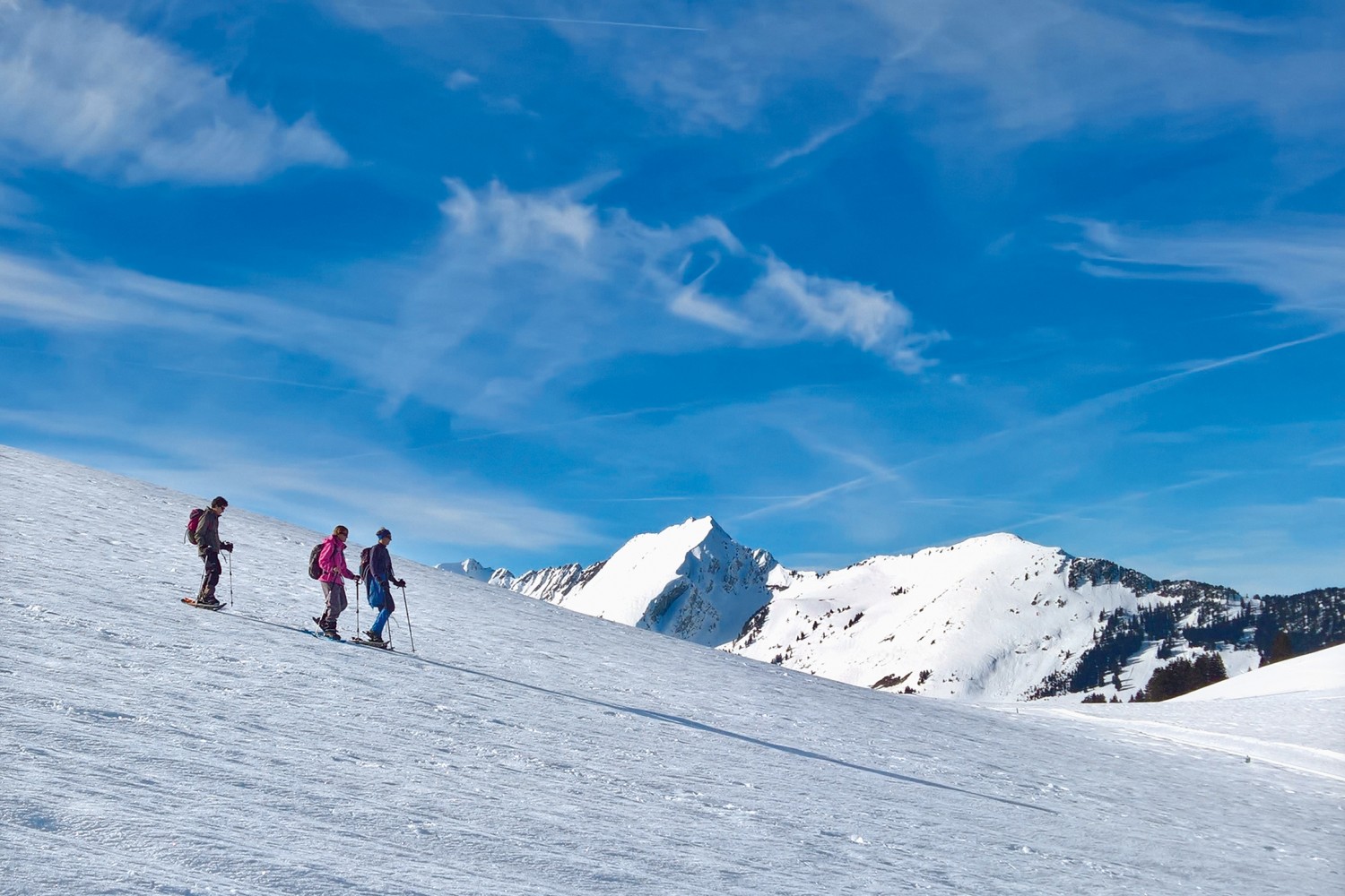 Abstieg zur Alp Les Brenlaires.